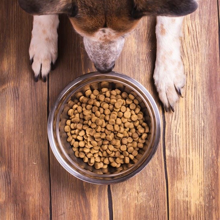 Best Raw Dog Food (4)
